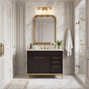 42 Inch Modern Freestanding Wenge Beatrice Bathroom Vanity, Single Sink