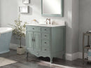 38 Inch Cottage Freestanding Distressed Vintage Blue Daleville Bathroom Vanity, Single Sink, Fully Assembled